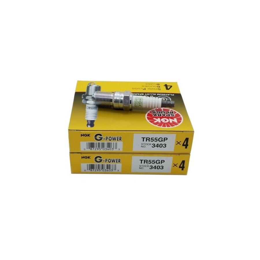 Bujia  NGK TR55GP